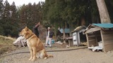 暴风截图201421489837028