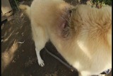 暴风截图20155227018765