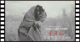 イヌ画像