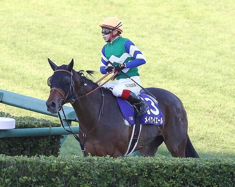 【鞍上は池添に戻る】メイケイエール　高松宮記念へ直行