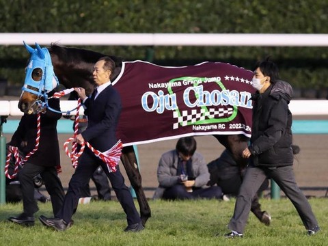 【種牡馬生活スタート】オジュウチョウサン　繋養先はヴェルサイユリゾートファームに