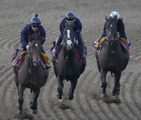 【秋の天皇賞想定】イクイノックス　主な勝ち鞍東スポ2歳 ←これが1番人気