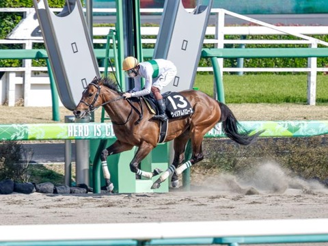 【早く言えｗ】みやこS惨敗のウィリアムバローズ　横山武史「跨った瞬間にダメだと思った」