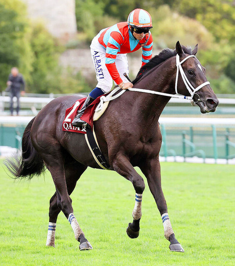 badef_60_9c8e5c0a_872b67d4