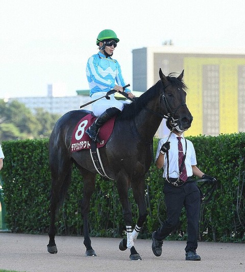 【いいね乞食】一般競馬ファン「デアリングタクトを悪く言わないで欲しい。彼女は頑張っている」