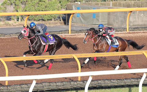 8d7b8_60_dc69cd09_6967cbec