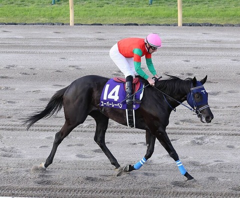 【天皇賞・秋８着】オークス馬ユーバーレーベン　次走はジャパンCへ 「ベストの舞台」