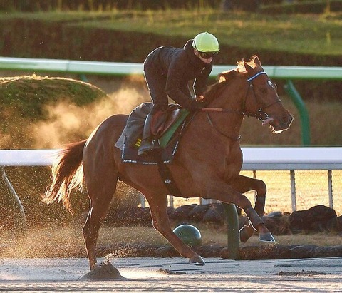 【JC前に煽ってくる〜ｗ】シムカミル・ワッテル師「日本馬はいつ凱旋門賞を勝つんだい？」