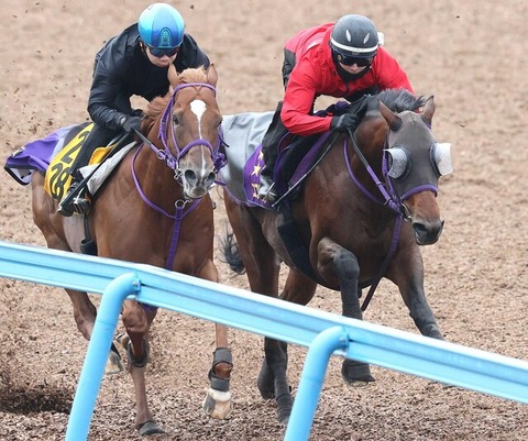 0ba7c_50_2e2aa03b_d6af4a7b