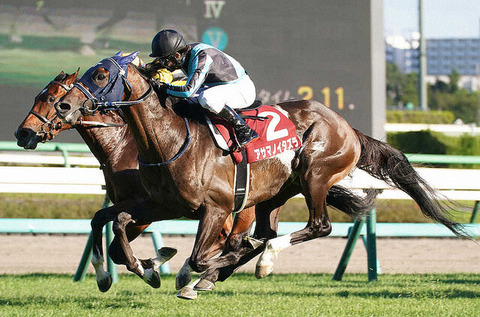 05313_929_3a980ae7_8977b4eb