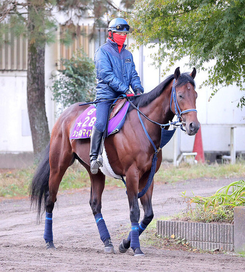 beeb8_60_cefd1c74_9cce4985