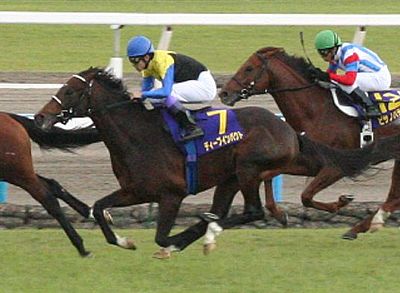 400px-Deep_Impact(horse)_20051023_3