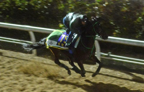 ope20122204520009-p1