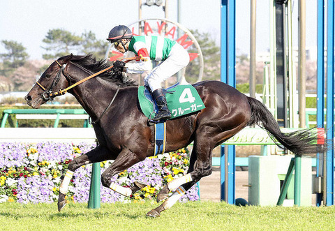 f60bd_929_spnldpc-20200405-0098-003-p-0