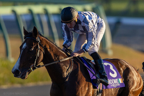 c42c8_1676_ae4db35c_f2dddaeb