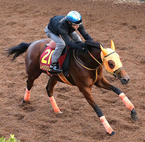 158ab_60_53b172c8_96b45eb1