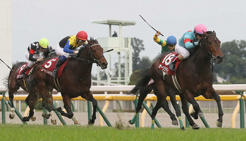 cd3e2_929_spnldpc-20201108-0241-005-p-0