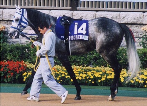 500px-Hishi_Miracle_20041031P1