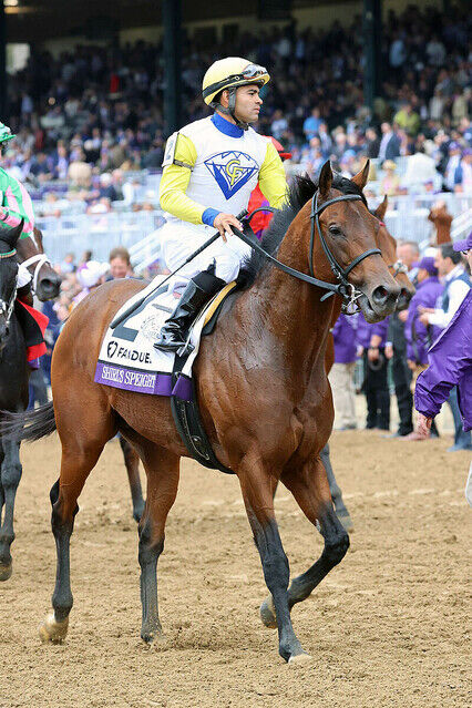 【三浦皇成の初G1制覇に刺客】昨年BCマイル2着・カナダのシャールズスパイト　フェブラリーSに出走決定