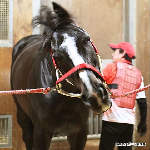 5a2e1_1399_45954d72_caeaee5c