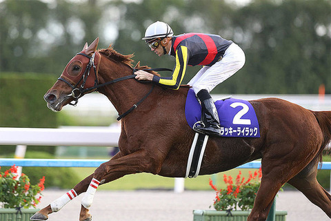 【秋競馬が面白くなる！】クリストフ・スミヨン騎手３年ぶりに短期免許取得　天皇賞・秋週10月29日から有馬記念当日12月25日まで