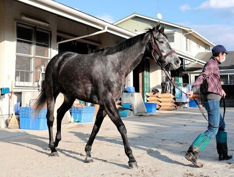 d4f1f_50_073bcdac_7913b160