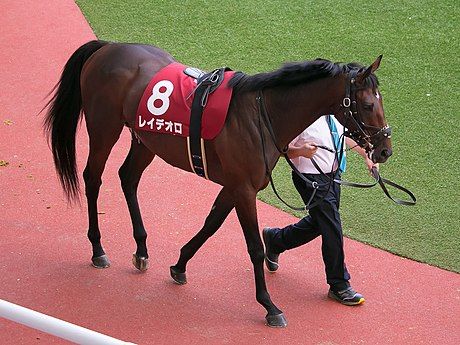 460px-Rey-de-Oro_IMG_3196-2_20170924