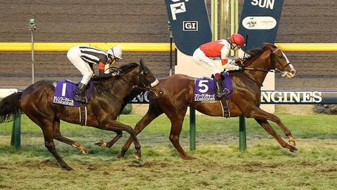 c24ca_929_04496a35_e575cf92