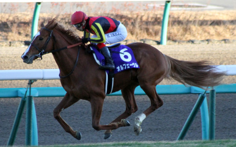 58th_Arima_20131222