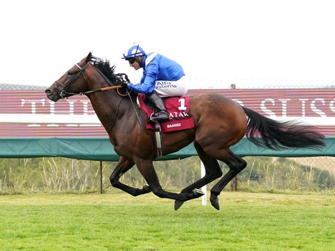 【高速馬場専用だった】怪物バーイード　引退レースでまさかの敗戦に「彼は歴史的名馬か？」と論争勃発