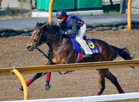 【気性難アイドル】メイケイエール　池添謙一でヴィクトリアMへ