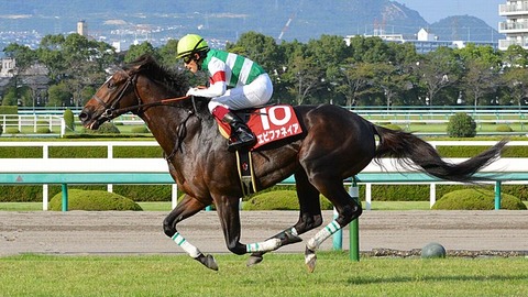 666px-Epiphaneia_Kobe_Shimbun_Hai_2013(IMG1)