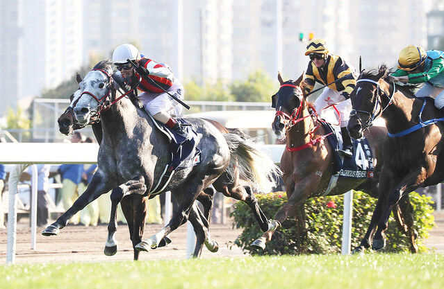 Jc 有馬が形骸化 香港国際競争 今年も日本馬が大量登録 週末は落ち武者 Jc 有馬が形骸化 香港国際競争 今年も日本馬が大量登録 週末は落ち武者