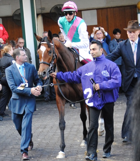 DSC_3339Enable
