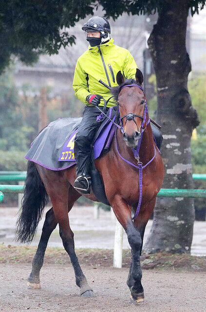 【成長しすぎていたｗ】エフフォーリア　馬体重533キロ　鹿戸調教師「520キロぐらいで出したい。本番までに少し減ってくれたら」