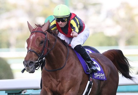 43b7d_1676_533a6ba7_440b6618