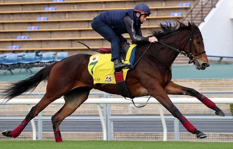 【池添不要だったｗ】メイケイエール　マクドナルド騎手を背にシャープな動き　武英調教師「大満足です」