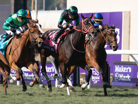 【海外馬参戦は史上初】アメリカ最強牝馬ウォーライクゴッデス　有馬記念へ！