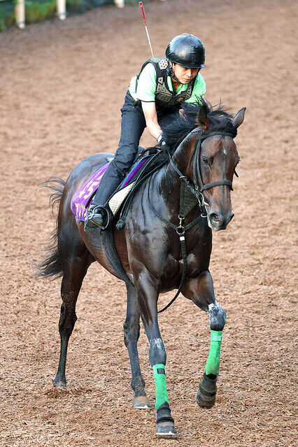 【無敗の3冠牝馬は復活なるか】デアリングタクト　エリザベス女王杯へ