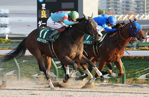 【三浦皇成が不幸すぎる…】ギルデッドミラー　剥離骨折で電撃引退