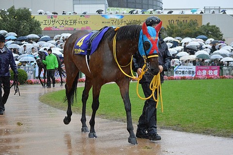 600px-Clincher_Kikkasho_2017