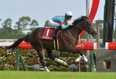 cefe7_50_8894944a_9716ab81