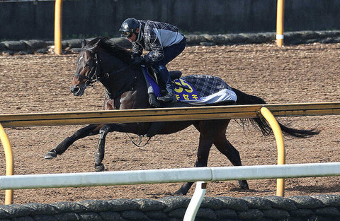 55f40_929_101d8df3_665d3bfa