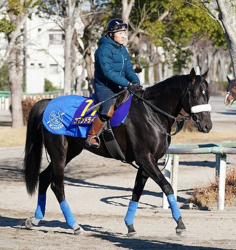 4a9f7_929_e9d06f4d_d6719cb4