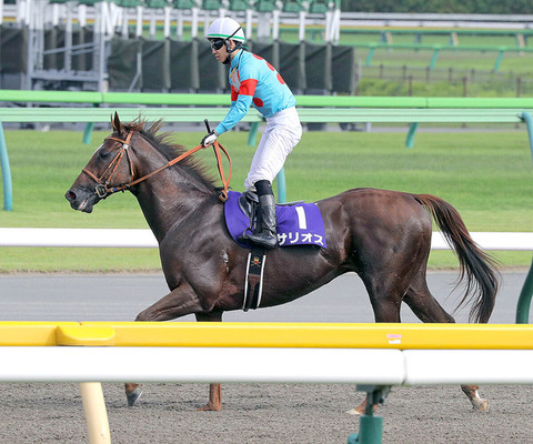 d8be9_60_a70b0209_bd056b96