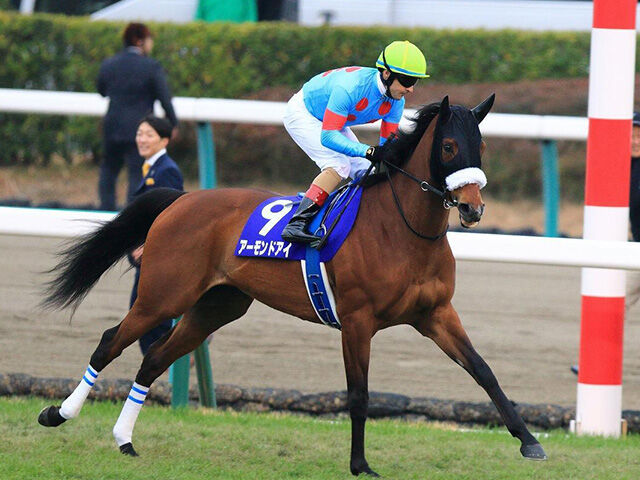 å®å¡šè¨˜å¿µã‚‚è¦–é‡Žã« ã‚¢ãƒ¼ãƒ¢ãƒ³ãƒ‰ã‚¢ã‚¤ æ¬¡èµ°ã¯ãƒ«ãƒ¡ãƒ¼ãƒ«é¨Žæ‰‹ã¨ãƒ´ã‚£ã‚¯ãƒˆãƒªã‚¢ãƒžã‚¤ãƒ«ã¸ é€±æœ«ã¯è½ã¡æ­¦è€…