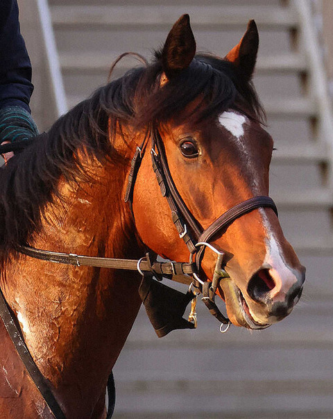 c5ae7_929_9d5c162d_d7819e73