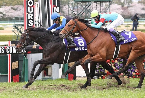 3bb92_929_a37cf0e7_b6d88df2