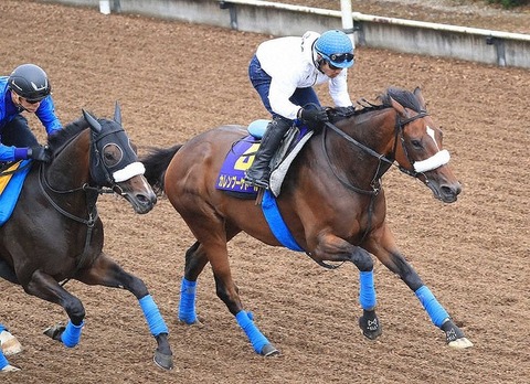 52b44_929_spnldpc-20210617-0017-014-p-0