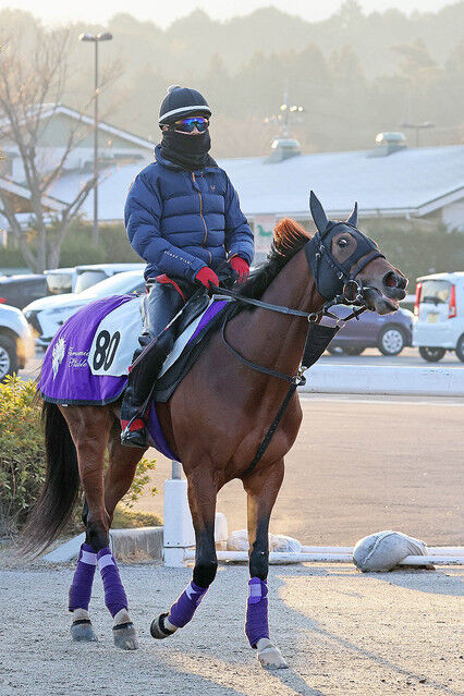 なぜ彼は選ばれるのか アドマイヤビルゴ 武豊から岩田望来に乗り替わり 大阪杯へ 週末は落ち武者